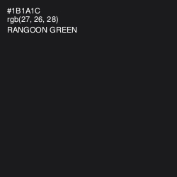 #1B1A1C - Rangoon Green Color Image